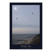 Winter Sun, Cape Cod, Massachusetts posters