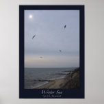 Winter Sun, Cape Cod, Massachusetts posters