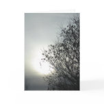 Winter Sun Greeting Card