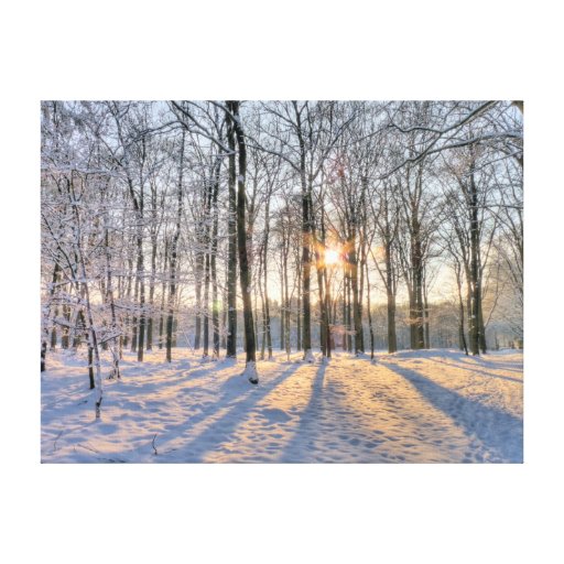 winter sun in snowy forest canvas print zazzle winter sun in snowy forest canvas print zazzle