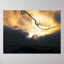 Winter Sun Poster