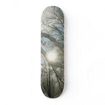 Winter Sunny Tree Skateboard by pammys Winter Sunny Tree Skateboard