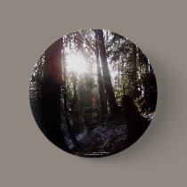 Winter Sunrays #16 buttons