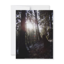 Winter Sunrays #16 invitations by dlmtleArt Winter Sunrays #16 invitations
