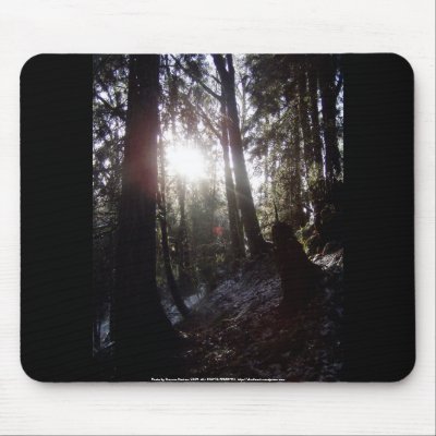 Winter Sunrays #16 Mousepads by dlmtleArt