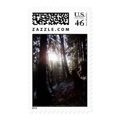 Winter Sunrays #16 Stamp by dlmtleArt