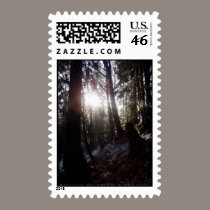 Winter Sunrays #16 stamps
