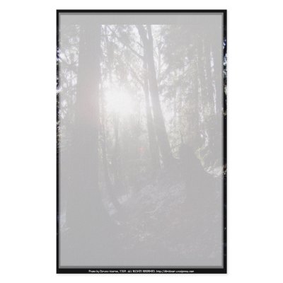 Winter Sunrays #16 Personalized Stationery by dlmtleArt