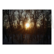 Winter Sunrise Between Trees Cards