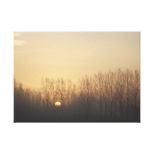 Winter Sunrise Stretched Canvas Prints