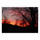 Winter Sunset 0001 Greeting Cards