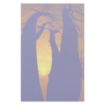 Winter sunset along the Ottawa River, Ontario, Can Personalized Stationery