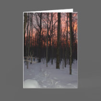Winter Sunset Greeting Card