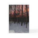 Winter Sunset Greeting Card by paintingcoyote36 Winter Sunset Greeting Card