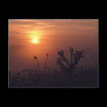 Winter sunset, Norfolk, England - Postcard by celtxian Winter sunset, Norfolk, England - Postcard