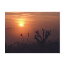 Winter sunset, Norfolk, England - Postcard