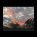 Winter Sunset Postcard