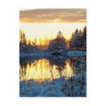 Winter Sunset Post Card