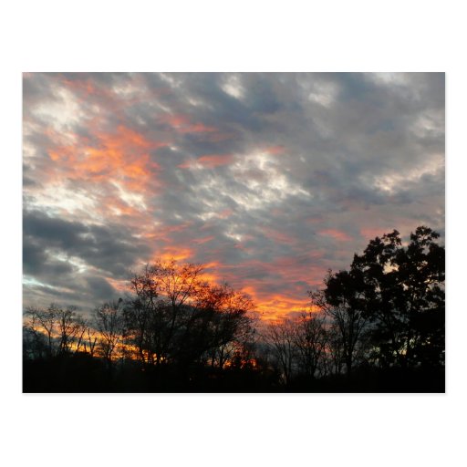 Winter Sunset Postcard