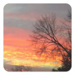 Winter Sunset stickers Winter Sunset stickers