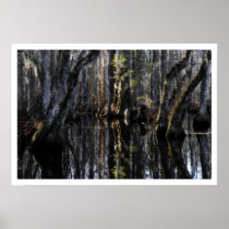 Winter Swamp Poster