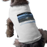 Winter Swim Pet Shirt