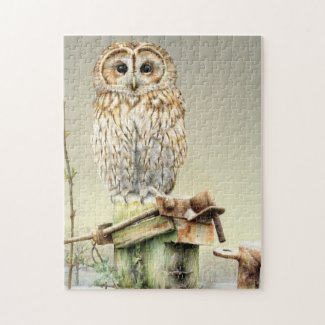 Winter tawny owl bird jigsaw puzzle