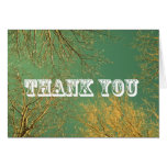 Winter Thank You cards