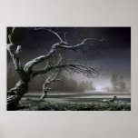 Winter Thaw Posters