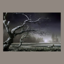 Winter Thaw posters
