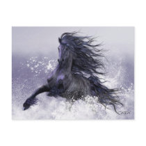 Winter Thunder Postcard