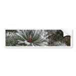 Winter Time In Slovakia 3 Bumper Stickers