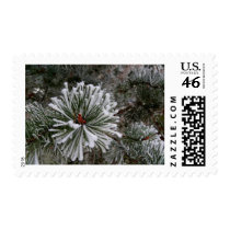 Winter Time In Slovakia 3 postage by lifesphere Winter Time In Slovakia 3 postage