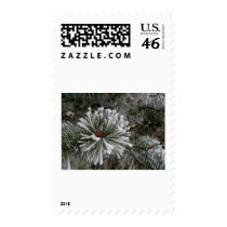 Winter Time In Slovakia 3 postage by lifesphere Winter Time In Slovakia 3 postage