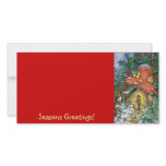Winter Toadstoole, Seasons Greetings!  photo cards