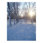Winter Trail posters