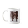 Winter Tree Branch Study
