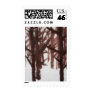 Winter Tree Branch Study Winter Tree Branch Study