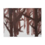 Winter Tree Branch Study
