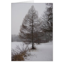Winter Tree Card