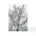Winter Tree Card