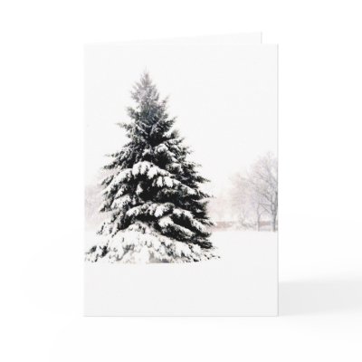 Winter Tree Greeting Cards by mhartford