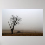 Winter Tree Foggy Meadow Posters
