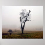 Winter Tree in Foggy Meadow #2 Posters