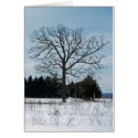 Winter Tree Joy Card by Poetlady Winter Tree Joy Card