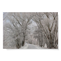 Winter Tree Lined Street Poster