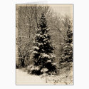 Winter Tree old photo cards by DiEtte Winter Tree old photo cards