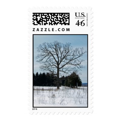 Winter Tree Postage by Poetlady