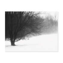 Winter tree postcards