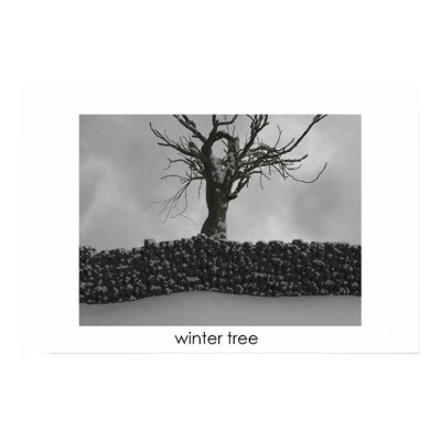Winter Tree Poster by Melly